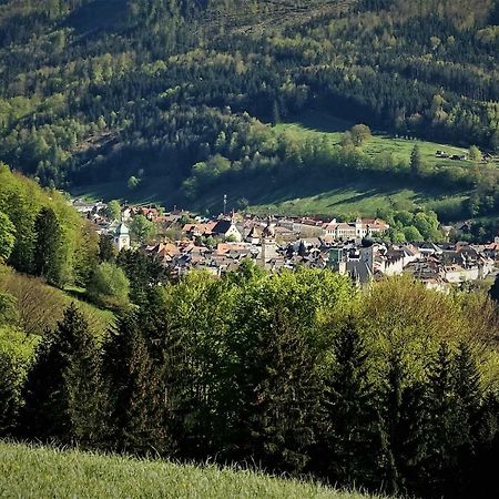 Appartement Kohlnberger Waidhofen an der Ybbs Luaran gambar