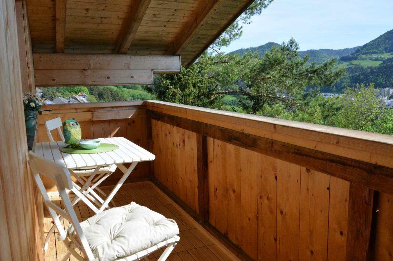 Appartement Kohlnberger Waidhofen an der Ybbs Luaran gambar