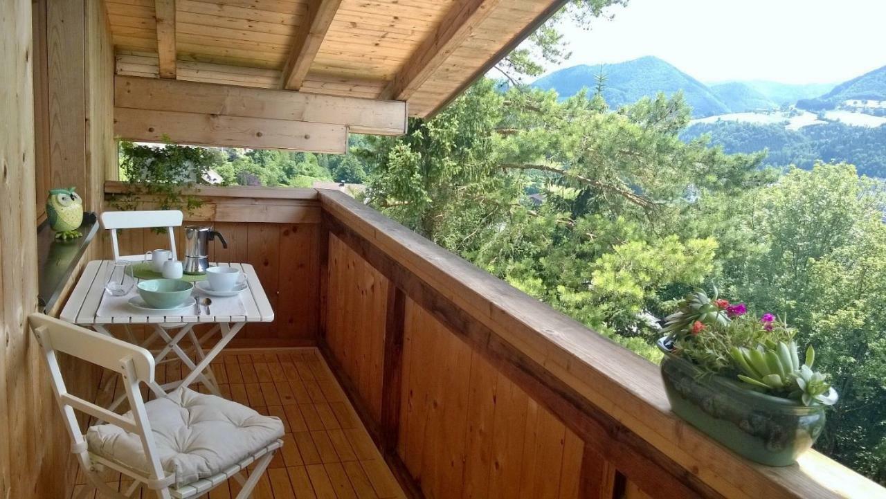 Appartement Kohlnberger Waidhofen an der Ybbs Luaran gambar
