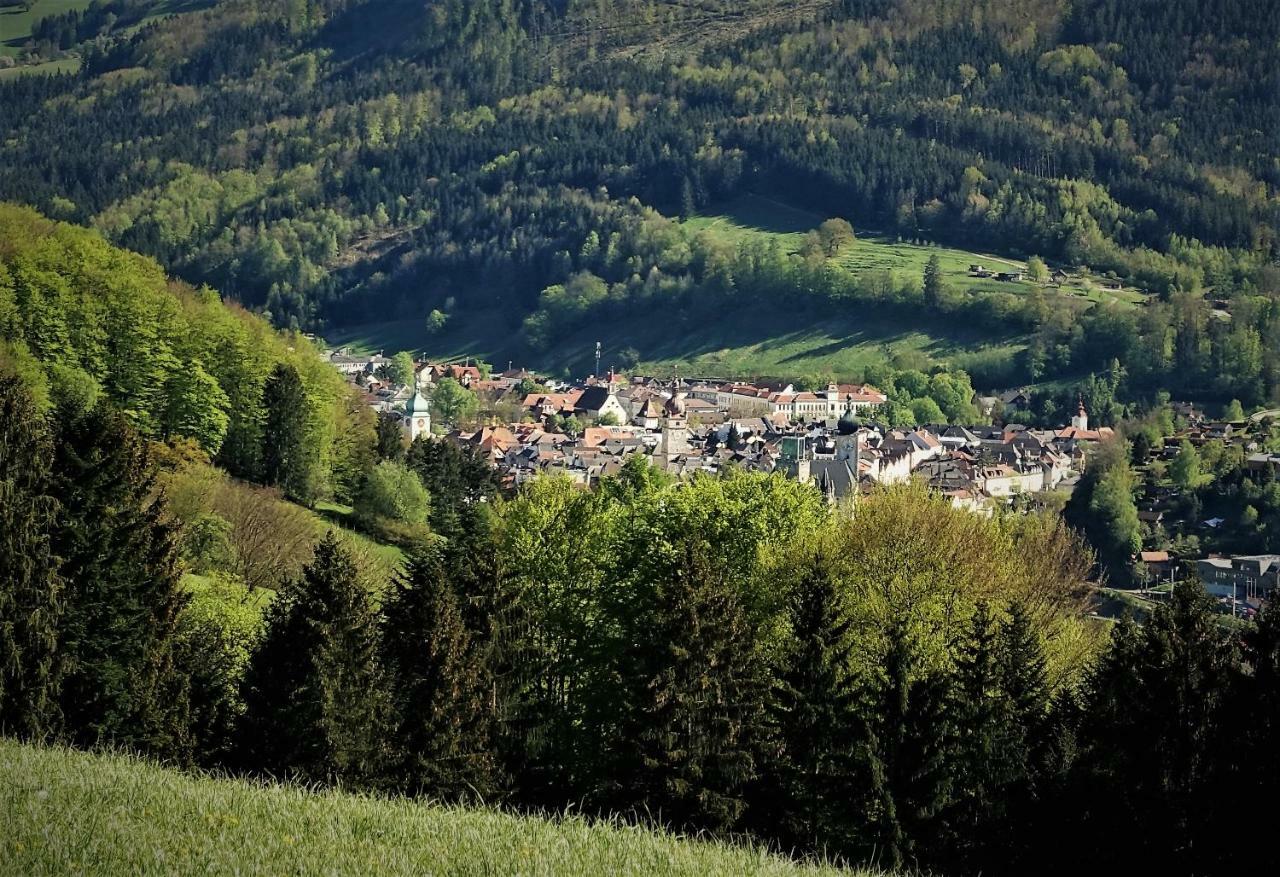 Appartement Kohlnberger Waidhofen an der Ybbs Luaran gambar