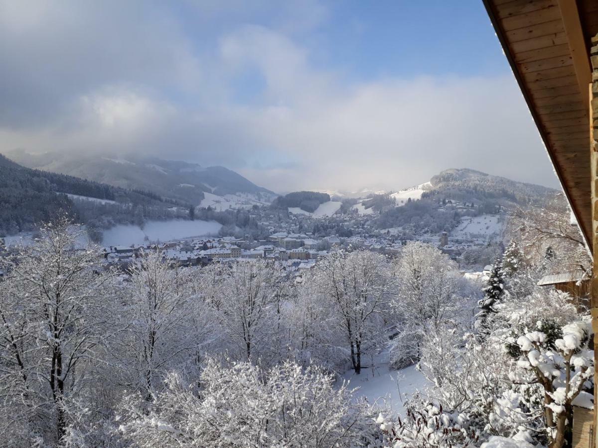 Appartement Kohlnberger Waidhofen an der Ybbs Luaran gambar