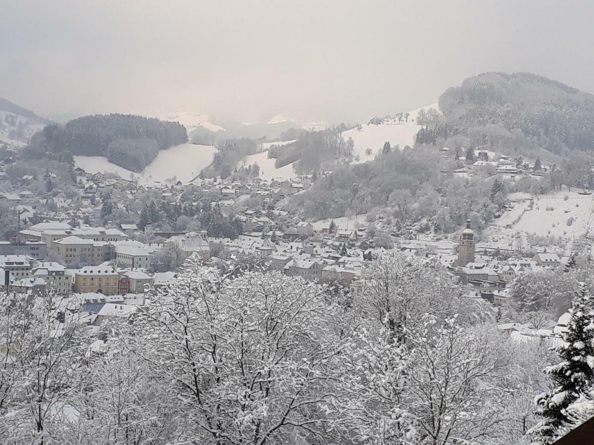 Appartement Kohlnberger Waidhofen an der Ybbs Luaran gambar