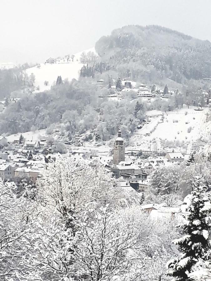 Appartement Kohlnberger Waidhofen an der Ybbs Luaran gambar